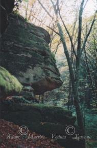 Слобода-Бушанська з panoramio.com