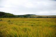 Українське з panoramio.com
