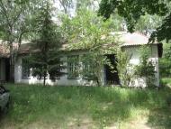 Дідковичі з panoramio.com