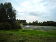 Остроушки з panoramio.com