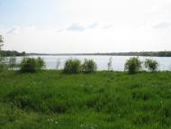 Грушувато-Криничне з panoramio.com