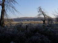 Томашівка з panoramio.com