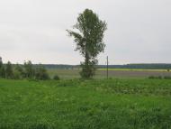 Прикордонна Улашанівка з panoramio.com