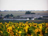 Миколаївка з panoramio.com