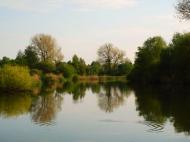 Іванківці з panoramio.com