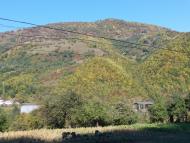 Монастирець з panoramio.com