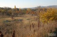 Мостове з panoramio.com