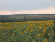 Березівське з panoramio.com