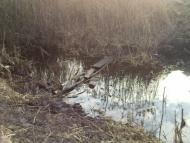 Гамаліївка з panoramio.com