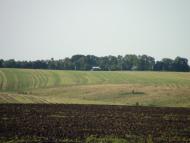 Андрушівка з panoramio.com