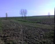 Прикордонна Улашанівка з panoramio.com