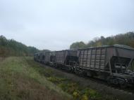 Буйволівці з panoramio.com