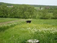 Креховичі з panoramio.com