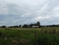 Рудня з panoramio.com