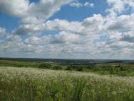 Дмитровичі з panoramio.com