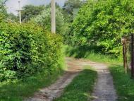 Солонка з panoramio.com