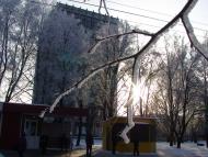 Гожули з panoramio.com