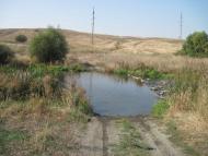 Куряче з panoramio.com