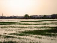 Улянівка з panoramio.com