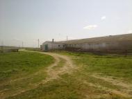 Мар'ївка з panoramio.com