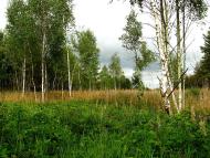 Яревище з panoramio.com