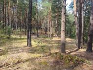 Долина з panoramio.com