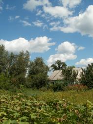 Ходосиха з panoramio.com