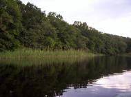 Усть-Лип'янка з panoramio.com