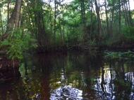 Стобихва з panoramio.com