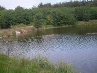 Жерденівка з panoramio.com