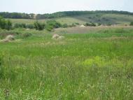 Хворостянівка з panoramio.com