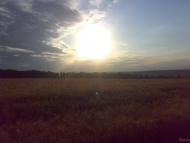 Рогань з panoramio.com - Рогань