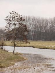 Федорівка з panoramio.com