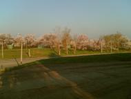 Дзержинське з panoramio.com