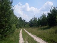 Бережне з panoramio.com