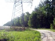 Тарасенки з panoramio.com - Тарасенки