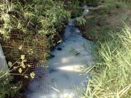 Ларине з panoramio.com