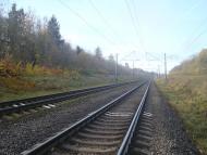 Рідкодуби з panoramio.com