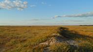 Меліоративне з panoramio.com - Мелиоративное