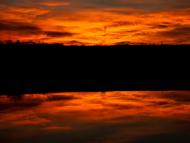 Велика Бушинка з panoramio.com