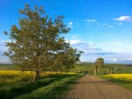 Михальча з panoramio.com