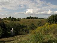 Травневе з panoramio.com