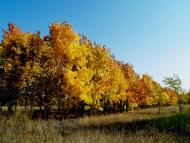 Нове з panoramio.com