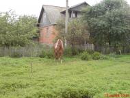 Костянтинівка з panoramio.com