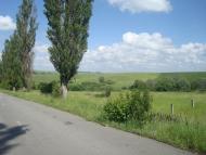 Малиничі з panoramio.com