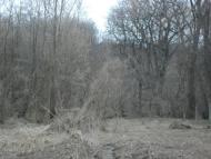 Ковильне з panoramio.com