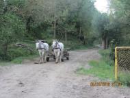 Лази з panoramio.com