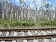 Червоний Цвіт з panoramio.com