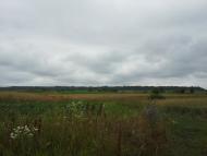 Вирка з panoramio.com