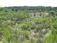 Грядки з panoramio.com